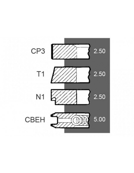 Piston Ring Set Ø 105-2.5x2.5x2.5x5 mm Same 0.042.0052.6, 004200526, 0.054.0052.6, 005400526, 0.073.0052.6 Piston Ring Set Ø 105-2.5x2.5x2.5x5 mm Same 0.042.0052.6, 004200526, 0.054.0052.6, 005400526, 0.073.0052.6