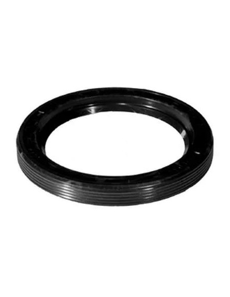 Simering 58x80x10 mm