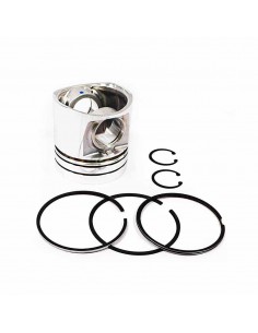 Piston cu Segmenti 0.020''-0.51 mm 102 mm  3802062