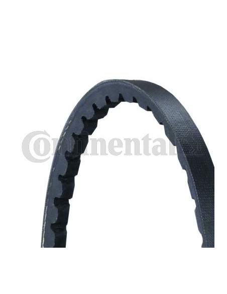 Curea Transmisie AVX10X1425