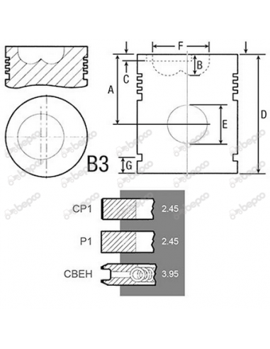 Piston cu Segmenti Ø 100 MM - STD Steyr