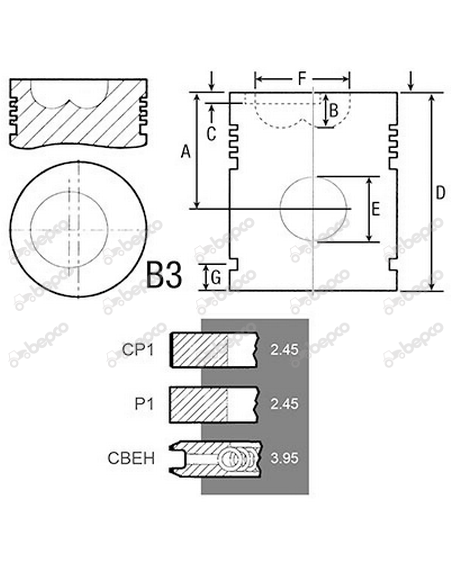 Piston cu Segmenti Ø 100 MM - STD Steyr