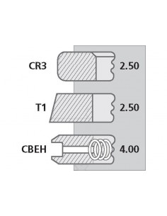 Segmenti Piston Ø 100-2.5x2.5x4 mm 2