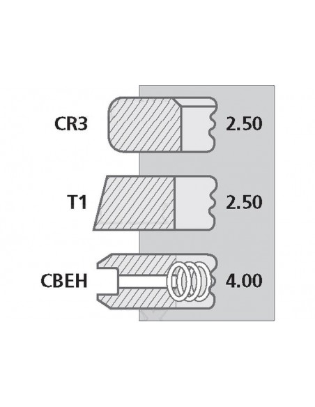 Segmenti Piston Ø 100-2.5x2.5x4 mm Segmenti Piston Ø 100-2.5x2.5x4 mm