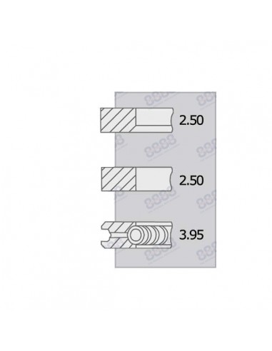 Piston Ring Set Ø 100-2.5x2.5x4 mm Perkins 4181A014, 4181A015, 4181A019, 4181A027, 4181A041