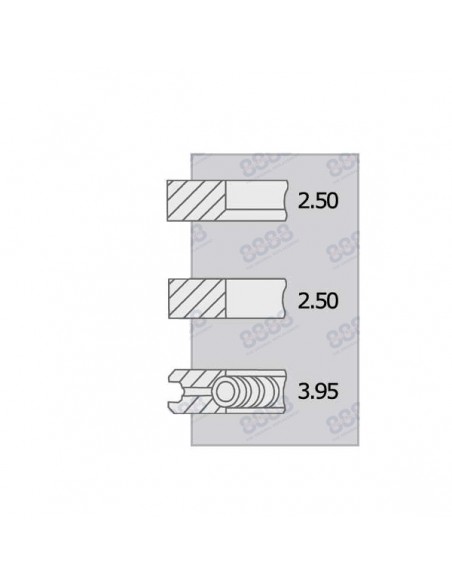 Piston Ring Set Ø 100-2.5x2.5x4 mm Perkins 4181A014, 4181A015, 4181A019, 4181A027, 4181A041
