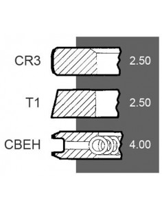Piston Ring Set Ø 100-2.5x2.5x4 mm 2