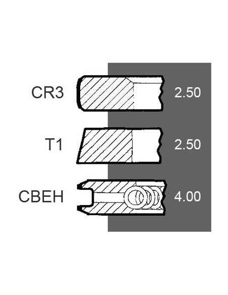 Segmenti Piston Ø 100-2.5x2.5x4 mm