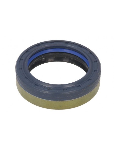 Simering 45x60x16/17 mm 84166622, 641735, 12019672, 12019672B