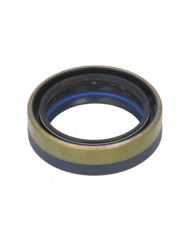 Simering 45x60x16/17 mm 84166622, 641735, 12019672, 12019672B