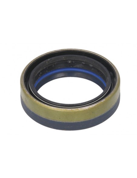 Seal 45x60x16/17 mm 84166622, 641735, 12019672, 12019672B