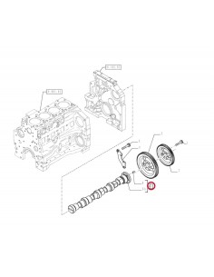 Ax Cu Came F4GE9484/F4GE9454 - N45M CNH Iveco 504229312, 2856170