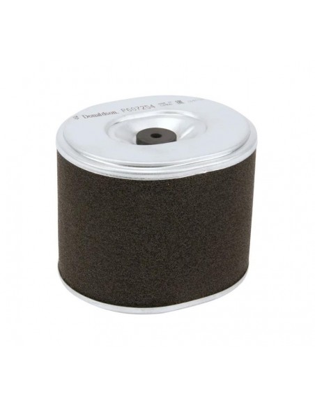 Air Filter  91x112 mm P607254 Honda AFZE30, 17210ZE3000, 17210-ZE3-000, 17210ZE3505, 17210-ZE3-505, 17210ZE3010, 17210-ZE3-010