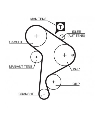 Kit Curea Distributie K015223XS