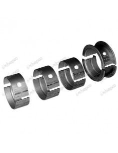 Cuzineti Palier 0.010''- 0.25 mm SET 4+1 3056832R21