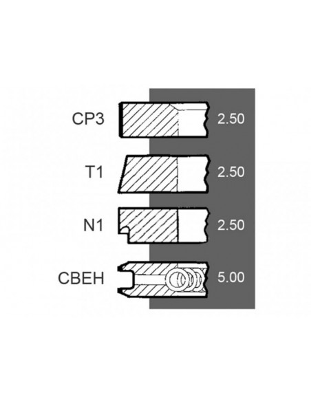 Segmenti Piston 105.5-2.5x2.5x2.5x5 mm (+0.50)