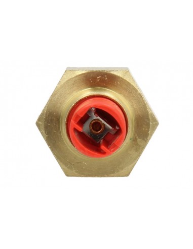 Sender, Water Temperature M22x1.5 mm 5108205, 87694765, 4178363,