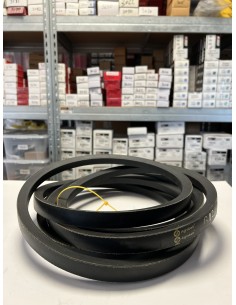 Curea Rabator 22x4264 mm John Deere Z30881, E38587, F9659, 603290.0, 000603290.0, 603290,  01145186, 28284841, D-28284841,