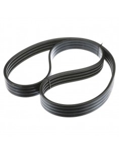 80743877, 743877, 86566606, 87580097, 0006676800, 667680.0, Z32173,