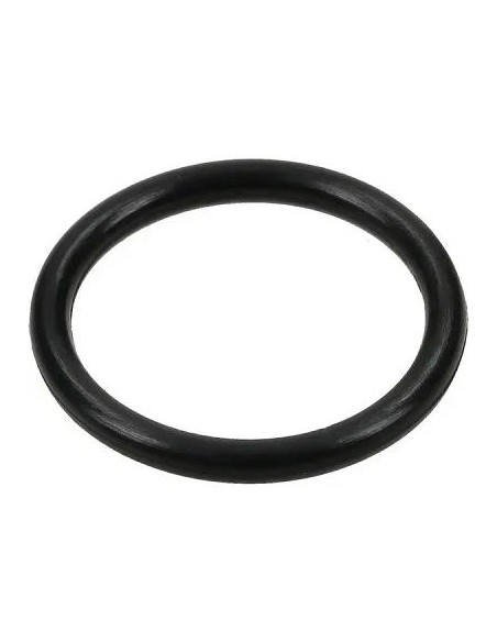 O-Ring 14462381, 14463280, 17288681, 98458442