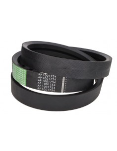 Belt, Beater Variable Drive 2HC-2560 mm AP1001754, Z61150, Z61827