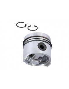 Piston cu Segmenti 103 mm STD 1930000 8065.24 852830