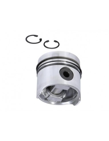 Piston cu Segmenti 103 mm STD 1930000 8065.24 852830