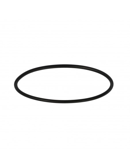 O-Ring 2.62x69.52 mm 14460680, 83416220, 1707280, 1442682X1