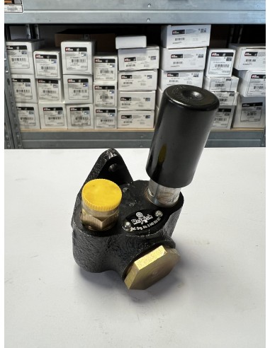 Fuel Pump 0440004067, 0990551, 0990552, 0990553, 81536780, 80380586, 713F9350ABA,