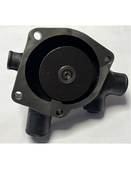 Pompa Apa Fara Fulie - Perkins U5MW0061