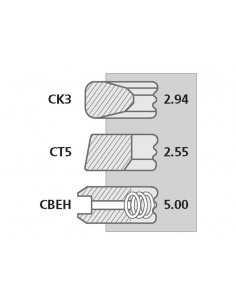 Segmenti Piston Ø 100 - 2.94x2.55x5 mm 58607 2