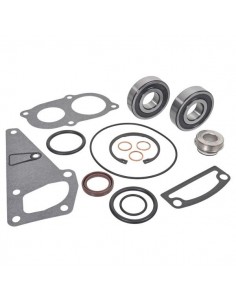 Kit Reparatie Pompa Apa Steyr 162000060776