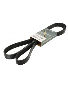 2201856, 3972383, 84373502, 1393280, 8PK2043, 8PK2045,