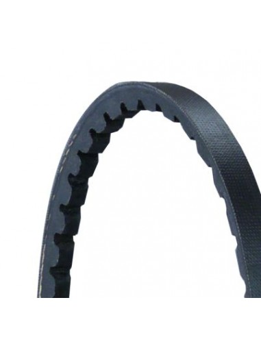 02234343, X696616800000, X696.616.800.000, 3383044M91, X696616800000, 1686614M91, 3808705M1,