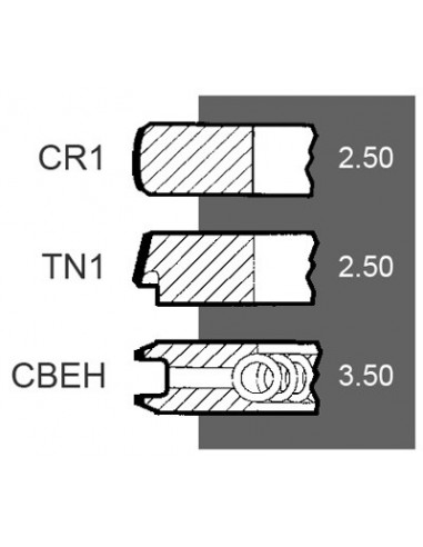 Segmenti Piston Ø 103-2.50x2.50x3.50 mm Perkins 4181A045, 4222950M91