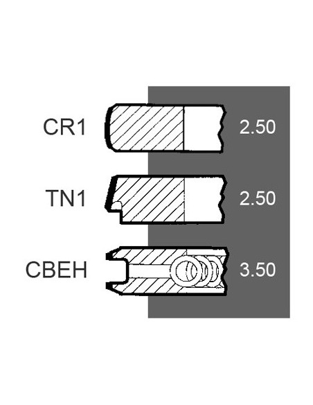 Piston Ring Ø 103 - 2.50x2.50x3.50 mm Perkins 4181A045, 185-0109, JCB 02/201804, 02201804, 4222950M91, U4181A045 Piston Ring Ø 103 - 2.50x2.50x3.50 mm Perkins 4181A045, 185-0109, JCB 02/201804, 02201804, 4222950M91, U4181A045