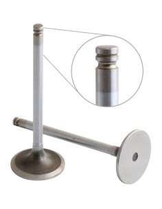 Supapa Admisie 4895187 2