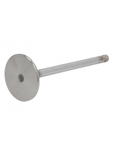 Valve, Inlet J901117, J920867, 3802005, 3802355, 3901117, 3920867, 4895187, 02/910101