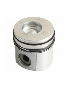 Piston cu Segmenti 0.020''-0.51 mm 102 mm 3802564