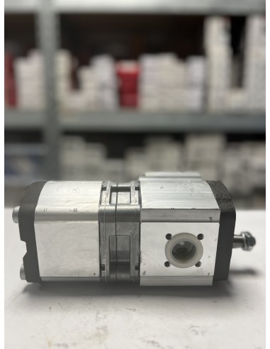 Tandem Hydraulic Pump 19+11 Cm3 0510665389, 3382280M1, 6005019352