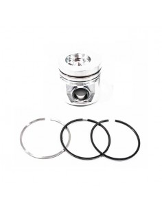 Piston cu Segmenti 0.020''-0.51 mm (Fara bolt) 3802132 0.50