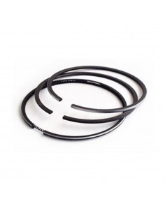 Segmenti Piston 101.80 - 2.85x2.34x3.97 mm