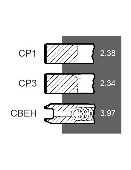 Segmenti Ø 101.80 mm 2.36x2.34x3.99 mm A77401-Goe