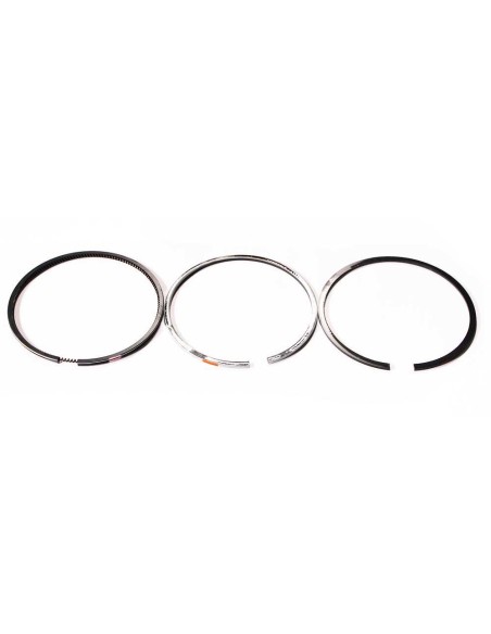 Segmenti Ø 101.80 mm 2.36x2.34x3.99 mm A77401-Goe