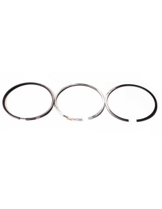 Segmenti Piston Ø 101.80 - 2.36x2.34x3.99 mm VPB4620