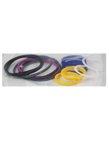 Kit Reparatie Cilindru Hidraulic 100 mm Case IH 47131008, 47131008FP, 5196607 Kit Reparatie Cilindru Hidraulic 100 mm Case IH 47131008, 47131008FP, 5196607