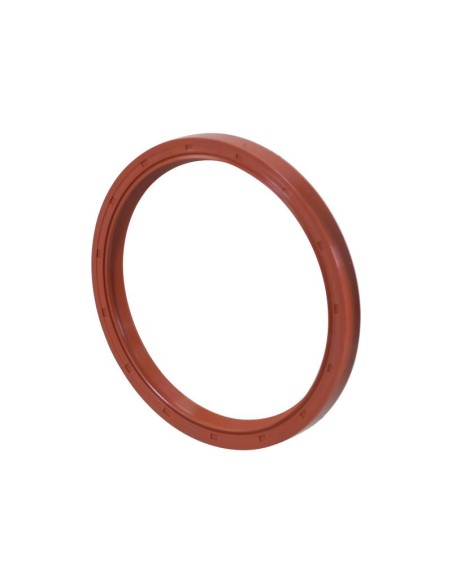 Simering 120x141x11.3 mm 65673