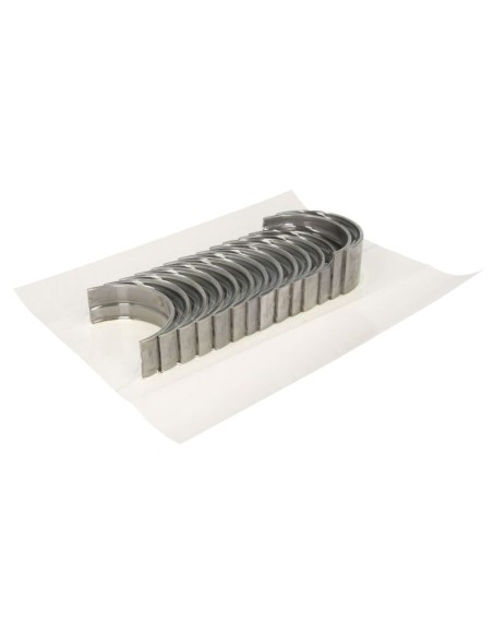 Cuzineti Palier 0.25 mm Iveco FPT 1908948, 1902558