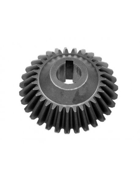 Pinion 25X110 Z-31 89508217