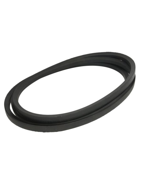 Curea 3500 mm Z63322